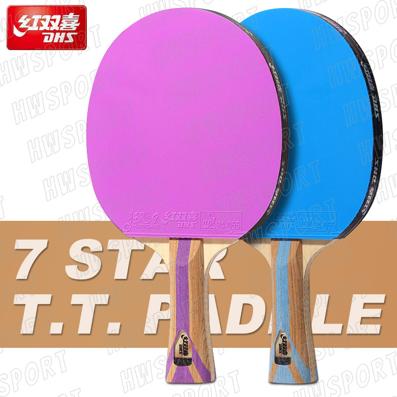 DHS 6 Star Color Table Tennis  – Desk Setup Tips Bewertung und Preis